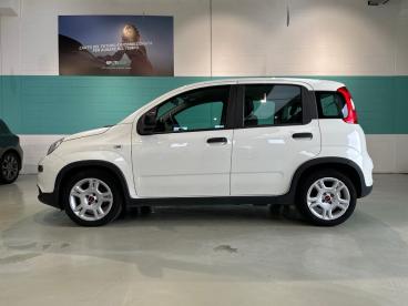 SPOTICAR Fiat Panda 1.0 Firefly 70cv S&s Hybrid Usata - City Car Ibrido Bianco - Vimercate - 1202513183_4