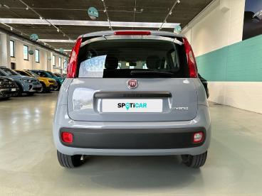 SPOTICAR Fiat Panda 1.0 Firefly 70cv S&s Hybrid Usata - City Car Ibrido Grigio - Vimercate - 1202513563_5