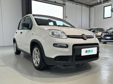 SPOTICAR Fiat Panda 1.0 Firefly 70cv S&s Hybrid Usata - City Car Ibrido Bianco - Milano - 1202514593_3