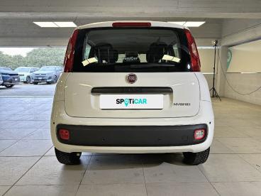 SPOTICAR Fiat Panda 1.0 Firefly 70cv S&s Hybrid Pandina Usata - City Car Ibrido Bianco - Milano - 1202515211_5