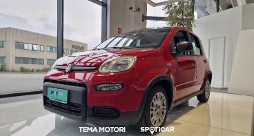 SPOTICAR Fiat Pandina 1.0 Firefly Hybrid S&s 70cv Usata - Berlina Ibrido Rosso - Rende - 1202442050_1