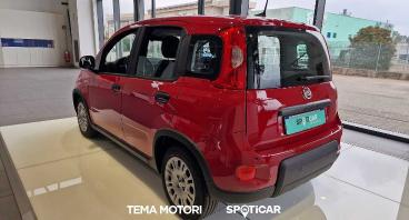 SPOTICAR Fiat Pandina 1.0 Firefly Hybrid S&s 70cv Usata - Berlina Ibrido Rosso - Rende - 1202442050_3