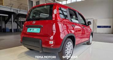 SPOTICAR Fiat Pandina 1.0 Firefly Hybrid S&s 70cv Usata - Berlina Ibrido Rosso - Rende - 1202442050_4