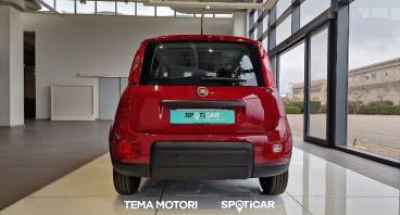 SPOTICAR Fiat Pandina 1.0 Firefly Hybrid S&s 70cv Usata - Berlina Ibrido Rosso - Rende - 1202442050_5