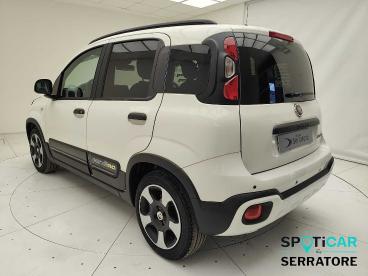 SPOTICAR Fiat Pandina Panda 1.0 70cv Hybrid Pandina Usata - Berlina Benzina Bianco - Albavilla - 1202455126_4