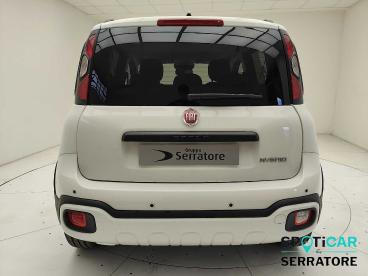 SPOTICAR Fiat Pandina Panda 1.0 70cv Hybrid Pandina Usata - Berlina Benzina Bianco - Albavilla - 1202455126_5