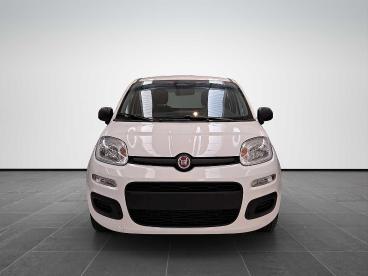 SPOTICAR Fiat Pandina 1.0 65cv Hybrid Pop Usata - Berlina Ibrido Bianco - Sesto Fiorentino - 1202458011_2