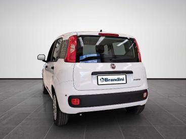 SPOTICAR Fiat Pandina 1.0 65cv Hybrid Pop Usata - Berlina Ibrido Bianco - Sesto Fiorentino - 1202458011_4