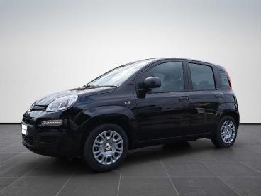 SPOTICAR Fiat Pandina 1.0 65cv Hybrid Icon Usata - Berlina Ibrido Nero - Sesto Fiorentino - 1202458503_1
