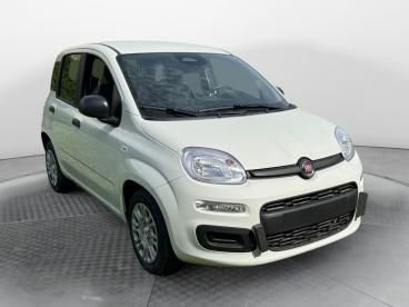 SPOTICAR Fiat Pandina 1.0 65cv Hybrid Icon Usata - Berlina Ibrido Bianco - Lancusi - 502462485_2