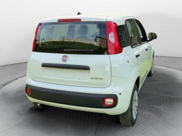 SPOTICAR Fiat Pandina 1.0 65cv Hybrid Icon Usata - Berlina Ibrido Bianco - Lancusi - 502462485_4