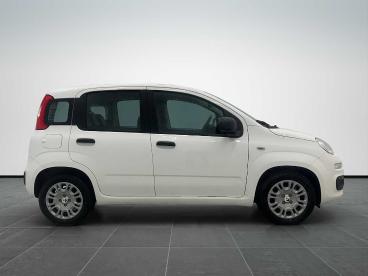 SPOTICAR Fiat Pandina 1.0 65cv Hybrid Icon Usata - Berlina Ibrido Bianco - Sesto Fiorentino - 1202469788_4