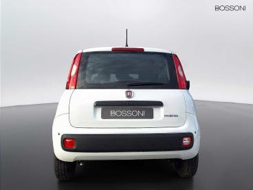 SPOTICAR Fiat Pandina 1.0 Firefly Hybrid 65cv Icon S&s 5p.ti Usata - Berlina Ibrido Bianco - Brescia - 1202470432_5