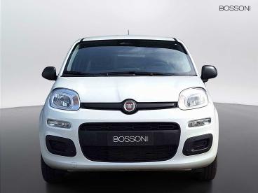 SPOTICAR Fiat Pandina 1.0 Firefly Hybrid 65cv Icon S&s 5p.ti Usata - Berlina Ibrido Bianco - Brescia - 1202471579_2