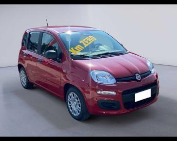 SPOTICAR Fiat Pandina 1.0 Firefly Hybrid Icon S&s 65cv 5p.ti Usata - Berlina Ibrido Rosso - Cremona - 1202491283_3