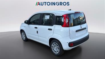 SPOTICAR Fiat Pandina -pandina My26 1.0 65cv Hybrid Icon Usata - Coupé-cabriolet Ibrido Bianco - Torino - 502495659_3