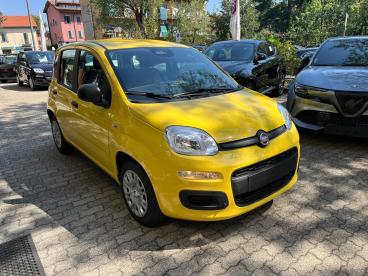 SPOTICAR Fiat Pandina  Usata - Berlina Ibrido Giallo - Milano - 502505383_3