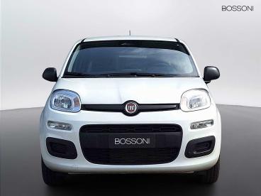 SPOTICAR Fiat Pandina 1.0 Firefly Hybrid 65cv Icon S&s 5p.ti Usata - Berlina Ibrido Bianco - Brescia - 1202508151_2
