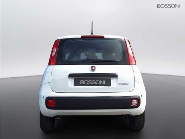 SPOTICAR Fiat Pandina 1.0 Firefly Hybrid 65cv Icon S&s 5p.ti Usata - Berlina Ibrido Bianco - Brescia - 1202508151_5