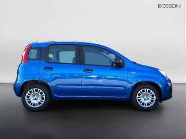 SPOTICAR Fiat Pandina 1.0 Firefly Hybrid 65cv Icon S&s 5p.ti Usata - Berlina Ibrido Blu - Brescia - 1202511570_4