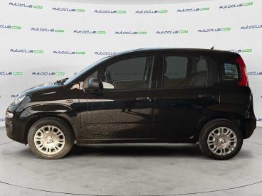 SPOTICAR Fiat Pandina 1.0 Firefly Hybrid Pop S&s 65cv Usata - Berlina Ibrido Nero - Bari - 1202514675_4