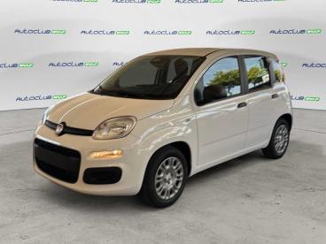 SPOTICAR Fiat Pandina 1.0 Firefly Hybrid Icon S&s 65cv 5p.ti Usata - Berlina Ibrido Bianco - Bari - 1202514679_3