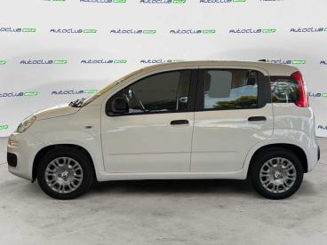 SPOTICAR Fiat Pandina 1.0 Firefly Hybrid Icon S&s 65cv 5p.ti Usata - Berlina Ibrido Bianco - Bari - 1202514679_4
