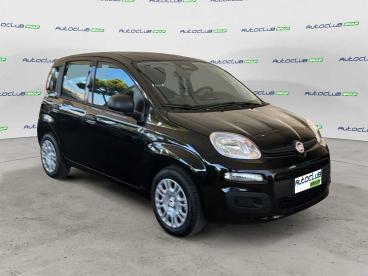 SPOTICAR Fiat Pandina 1.0 Firefly Hybrid Icon S&s 65cv Usata - Berlina Ibrido Nero - Bari - 1202514681_1