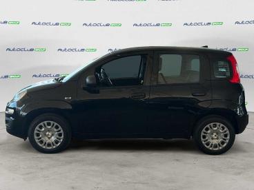 SPOTICAR Fiat Pandina 1.0 Firefly Hybrid Icon S&s 65cv Usata - Berlina Ibrido Nero - Bari - 1202514681_4