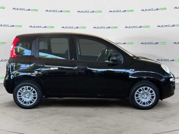 SPOTICAR Fiat Pandina 1.0 Firefly Hybrid Icon S&s 65cv Usata - Berlina Ibrido Nero - Bari - 1202514681_5
