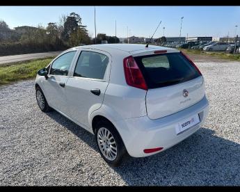 SPOTICAR Fiat Punto 2012 Benzina 5p 1.2 Young Usata - City Car Benzina Bianco - Venturina Terme - 502294165_2