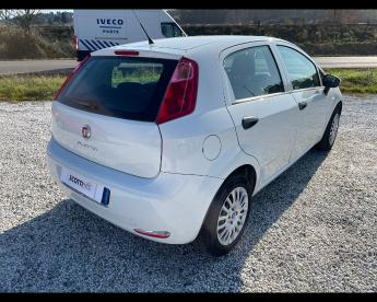 SPOTICAR Fiat Punto 2012 Benzina 5p 1.2 Young Usata - City Car Benzina Bianco - Venturina Terme - 502294165_4