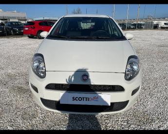 SPOTICAR Fiat Punto 2012 Benzina 5p 1.2 Young Usata - City Car Benzina Bianco - Venturina Terme - 502294165_5