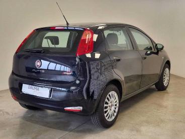 SPOTICAR Fiat Punto 5p 1.2 Street E6 Usata - City Car Benzina Blu - Solaro - 1202368437_4