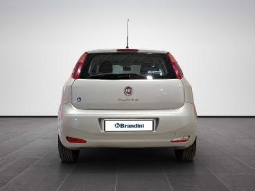 SPOTICAR Fiat Punto 1.2 8v 5 Porte Street Usata - City Car Benzina Grigio - Sesto Fiorentino - 1202399626_5