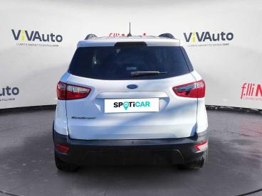 SPOTICAR Ford Ecosport 1.5 Tdci 100 Cv Start&stop Plus Usata - Suv Diesel Bianco - Massa - 1202394494_4