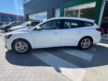 SPOTICAR Ford Focus 1.5 Ecoblue 120cv Business Usata - Station Wagon Diesel Bianco - Mozzagrogna - 502487599_3
