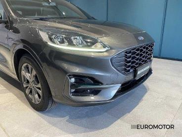 SPOTICAR Ford Kuga 1.5 Ecoblue St-line 2wd 120cv Usata - Suv Diesel Grigio - Modugno - 1202348292_4