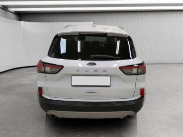 SPOTICAR Ford Kuga 1.5 Ecoblue Titanium 2wd 120cv Usata - Suv Diesel Bianco - Cuneo - 502376818_5
