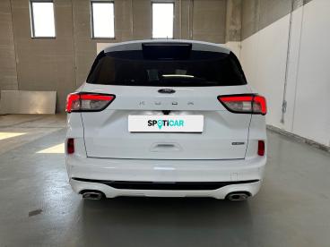 SPOTICAR Ford Kuga 2.5 Benzina Fhev 190cv 2wd St-line X Aut Usata - Suv Ibrido Bianco - Vimercate - 1202386963_5