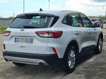 SPOTICAR Ford Kuga 1.5 120 2wd Titanium 36.000 Km. Usata - Suv Diesel Bianco - Foggia - 1202387108_5