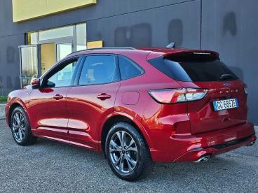 SPOTICAR Ford Kuga 1.5 Ecoblue 120 Cv 2wd St-line Usata - Suv Diesel Rosso - Foggia - 1202389544_3