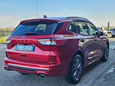 SPOTICAR Ford Kuga 1.5 Ecoblue 120 Cv 2wd St-line Usata - Suv Diesel Rosso - Foggia - 1202389544_5