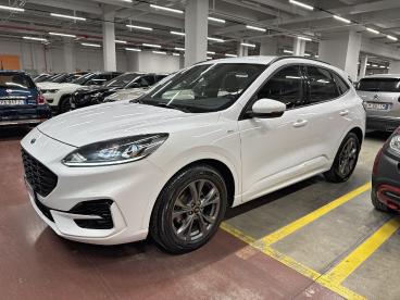 SPOTICAR Ford Kuga 1.5 Ecoblue 120cv 2wd St-line Usata - Suv Diesel Bianco - Palermo - 1202390904_4