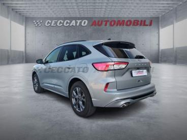 SPOTICAR Ford Kuga 2.5 Phev St-line 2wd 225cv Cvt Usata - Suv Ibrido Argento - Thiene - 502393619_3