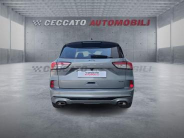 SPOTICAR Ford Kuga 2.5 Phev St-line 2wd 225cv Cvt Usata - Suv Ibrido Argento - Thiene - 502393619_5