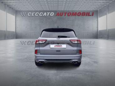 SPOTICAR Ford Kuga 2.5 Phev St-line 2wd 225cv Cvt Usata - Suv Ibrido Plug-in Argento - Albignasego - 502454735_5