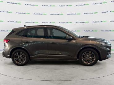 SPOTICAR Ford Kuga 2.0 Ecoblue St-line Awd 120cv Auto Usata - Suv Diesel Grigio - Bari - 1202461289_4