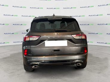 SPOTICAR Ford Kuga 2.0 Ecoblue St-line Awd 120cv Auto Usata - Suv Diesel Grigio - Bari - 1202461289_5