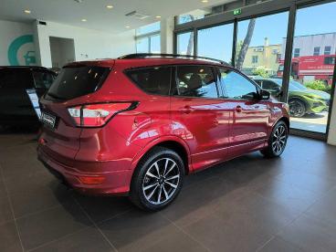 SPOTICAR Ford Kuga 2.0 Tdci St-line 120cv Powershift Usata - Suv Diesel Rosso - Faenza - 1202513310_3